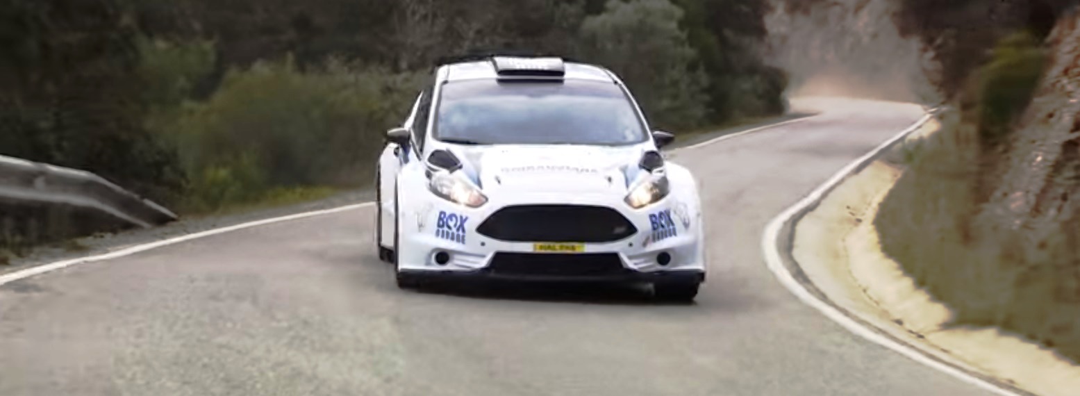 Carlos Martins / Daniel Amaral em Ford Fiesta R5